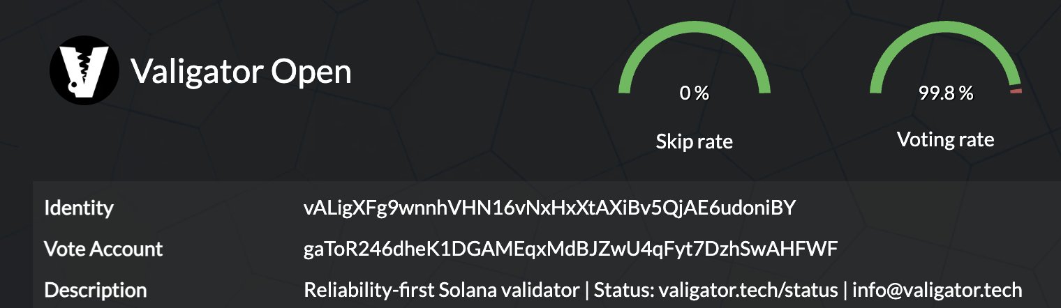 Example of a validator found on Stakewiz.